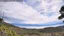 ./images/calvert/fitz-hugh-hecate/20260615/fitz-hugh-hecate20260615_110002M.jpg