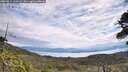 ./images/calvert/fitz-hugh-hecate/20260615/fitz-hugh-hecate20260615_110501M.jpg