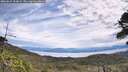 ./images/calvert/fitz-hugh-hecate/20260615/fitz-hugh-hecate20260615_113001M.jpg