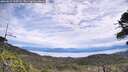 ./images/calvert/fitz-hugh-hecate/20260615/fitz-hugh-hecate20260615_113501M.jpg