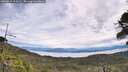 ./images/calvert/fitz-hugh-hecate/20260615/fitz-hugh-hecate20260615_114501M.jpg