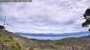 ./images/calvert/fitz-hugh-hecate/20260615/fitz-hugh-hecate20260615_132001M.jpg