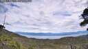./images/calvert/fitz-hugh-hecate/20260615/fitz-hugh-hecate20260615_133001M.jpg