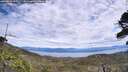 ./images/calvert/fitz-hugh-hecate/20260615/fitz-hugh-hecate20260615_133501M.jpg