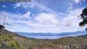 ./images/calvert/fitz-hugh-hecate/20260615/fitz-hugh-hecate20260615_140001M.jpg
