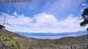 ./images/calvert/fitz-hugh-hecate/20260615/fitz-hugh-hecate20260615_140502M.jpg