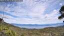 ./images/calvert/fitz-hugh-hecate/20260615/fitz-hugh-hecate20260615_141501M.jpg