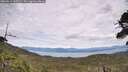 ./images/calvert/fitz-hugh-hecate/20260615/fitz-hugh-hecate20260615_142502M.jpg
