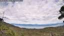 ./images/calvert/fitz-hugh-hecate/20260615/fitz-hugh-hecate20260615_144001M.jpg