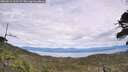 ./images/calvert/fitz-hugh-hecate/20260615/fitz-hugh-hecate20260615_151501M.jpg