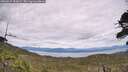 ./images/calvert/fitz-hugh-hecate/20260615/fitz-hugh-hecate20260615_153001M.jpg