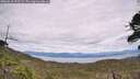./images/calvert/fitz-hugh-hecate/20260615/fitz-hugh-hecate20260615_153501M.jpg