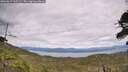 ./images/calvert/fitz-hugh-hecate/20260615/fitz-hugh-hecate20260615_160502M.jpg