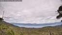 ./images/calvert/fitz-hugh-hecate/20260615/fitz-hugh-hecate20260615_161502M.jpg