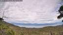 ./images/calvert/fitz-hugh-hecate/20260615/fitz-hugh-hecate20260615_165501M.jpg