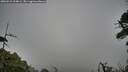 ./images/calvert/fitz-hugh-hecate/20260615/fitz-hugh-hecate20260615_204001M.jpg