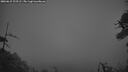 ./images/calvert/fitz-hugh-hecate/20260615/fitz-hugh-hecate20260615_223501M.jpg