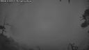 ./images/calvert/fitz-hugh-hecate/20260616/fitz-hugh-hecate20260616_042502M.jpg