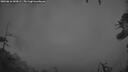 ./images/calvert/fitz-hugh-hecate/20260616/fitz-hugh-hecate20260616_043001M.jpg