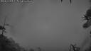 ./images/calvert/fitz-hugh-hecate/20260616/fitz-hugh-hecate20260616_043501M.jpg