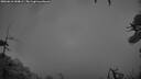 ./images/calvert/fitz-hugh-hecate/20260616/fitz-hugh-hecate20260616_044001M.jpg