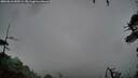 ./images/calvert/fitz-hugh-hecate/20260616/fitz-hugh-hecate20260616_045501M.jpg