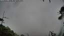 ./images/calvert/fitz-hugh-hecate/20260616/fitz-hugh-hecate20260616_050001M.jpg