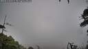 ./images/calvert/fitz-hugh-hecate/20260616/fitz-hugh-hecate20260616_061502M.jpg