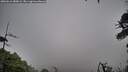 ./images/calvert/fitz-hugh-hecate/20260616/fitz-hugh-hecate20260616_080002M.jpg