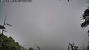 ./images/calvert/fitz-hugh-hecate/20260616/fitz-hugh-hecate20260616_085001M.jpg