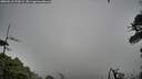./images/calvert/fitz-hugh-hecate/20260616/fitz-hugh-hecate20260616_090002M.jpg
