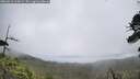 ./images/calvert/fitz-hugh-hecate/20260616/fitz-hugh-hecate20260616_114502M.jpg