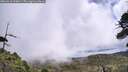 ./images/calvert/fitz-hugh-hecate/20260616/fitz-hugh-hecate20260616_120001M.jpg