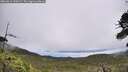 ./images/calvert/fitz-hugh-hecate/20260616/fitz-hugh-hecate20260616_120502M.jpg