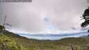 ./images/calvert/fitz-hugh-hecate/20260616/fitz-hugh-hecate20260616_131001M.jpg