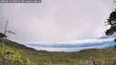 ./images/calvert/fitz-hugh-hecate/20260616/fitz-hugh-hecate20260616_133002M.jpg