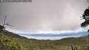 ./images/calvert/fitz-hugh-hecate/20260616/fitz-hugh-hecate20260616_135501M.jpg