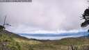 ./images/calvert/fitz-hugh-hecate/20260616/fitz-hugh-hecate20260616_140002M.jpg