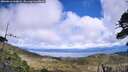 ./images/calvert/fitz-hugh-hecate/20260616/fitz-hugh-hecate20260616_144001M.jpg