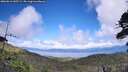 ./images/calvert/fitz-hugh-hecate/20260616/fitz-hugh-hecate20260616_145501M.jpg