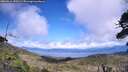 ./images/calvert/fitz-hugh-hecate/20260616/fitz-hugh-hecate20260616_150501M.jpg