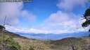 ./images/calvert/fitz-hugh-hecate/20260616/fitz-hugh-hecate20260616_155002M.jpg
