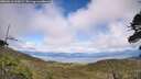 ./images/calvert/fitz-hugh-hecate/20260616/fitz-hugh-hecate20260616_162001M.jpg