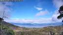 ./images/calvert/fitz-hugh-hecate/20260616/fitz-hugh-hecate20260616_164501M.jpg