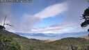 ./images/calvert/fitz-hugh-hecate/20260616/fitz-hugh-hecate20260616_172501M.jpg