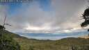 ./images/calvert/fitz-hugh-hecate/20260616/fitz-hugh-hecate20260616_185501M.jpg