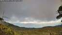 ./images/calvert/fitz-hugh-hecate/20260616/fitz-hugh-hecate20260616_203502M.jpg