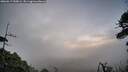 ./images/calvert/fitz-hugh-hecate/20260617/fitz-hugh-hecate20260617_050001M.jpg
