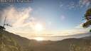 ./images/calvert/fitz-hugh-hecate/20260617/fitz-hugh-hecate20260617_062501M.jpg