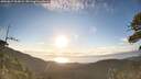./images/calvert/fitz-hugh-hecate/20260617/fitz-hugh-hecate20260617_063001M.jpg